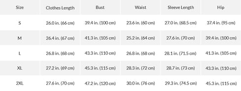 2pc Velvet Casual Outfit