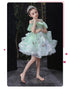 Girl's Princess Dress Green Pengpeng Fairy Dress Catwalk Dress Flower Girl Dress