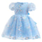 Girl's Bubble Sleeve Dress Embroidered Mesh Paggy Dress Princess Dress