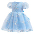 Girl's Bubble Sleeve Dress Embroidered Mesh Paggy Dress Princess Dress