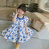 Children's Blue Butterfly Dress