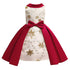 Girls' Dress Star Embroidered Sequin Princess Dress Dress Children's Dress