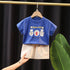 Boys summer short sleeve t-shirt casual pants two-piece set