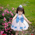 Girl's Bow Strap Dress Summer Girl's Summer Dress Paggy Princess Dress
