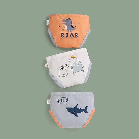 Boy's Underpants Three Packs