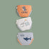 Boy's Underpants Three Packs