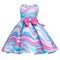 Girl's Vest Princess Skirt