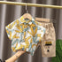 Children's wear short sleeve shorts summer two-piece set