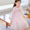 Autumn girl princess dress little girl unkempt dress children's gauze dress lace sweet gauze dress