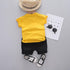 Boys Summer Short Sleeve Shorts Set