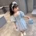 Summer New Girls Style Princess Dress Girls Party Mesh Dress