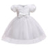 Children's Bubble Sleeve Mesh Dress Skirt