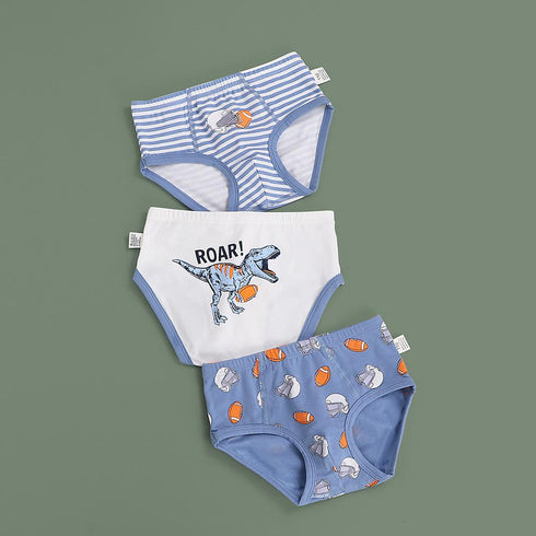 Boy's Underpants Three Packs