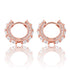 Ring Earrings Zircon Hip Hop Earrings