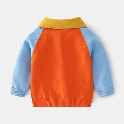 Autumn boy's sweater