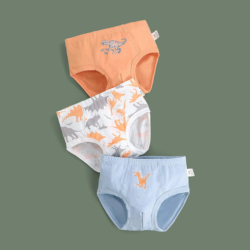 Boy's Underpants Three Packs