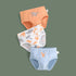 Boy's Underpants Three Packs