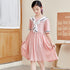 Chiffon Dress Academic Bow Princess Skirt