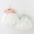 Summer New Baby Girl Princess Dress Big Bow Skirt Cute Lady