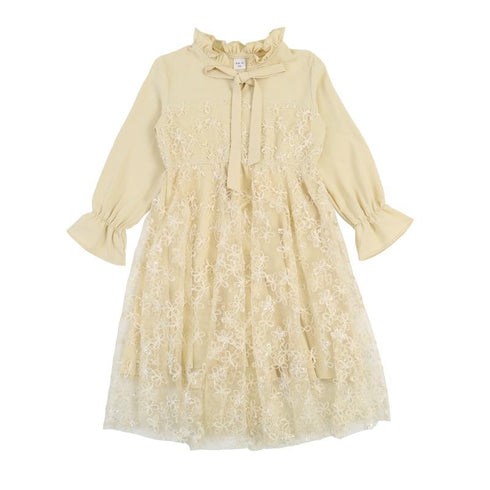 Foreign style embroidered children's skirt princess skirt