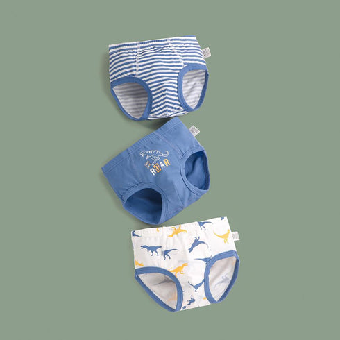 Boy's Underpants Three Packs