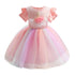 Girl's Dress Girl's Swan Rainbow Mesh Princess Dress
