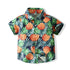 Summer Boys Pineapple Beach Wind Set