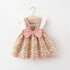 Summer New Baby Girl Flying Sleeve Dress Broken Flower Dress