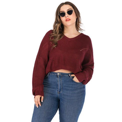 Large size women's sweater autumn and winter knitwear