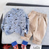Boy's Spring and Autumn Two-Piece Set