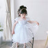 Summer New Girl Dress Girl Gauze Skirt Unkempt Skirt Princess Dress