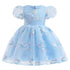 Girl's Bubble Sleeve Dress Embroidered Mesh Paggy Dress Princess Dress