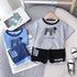 Boys' Large Pocket Round Neck Zebra Short Sleeve Suit Casual Shorts Two Piece Set
