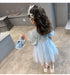 Summer New Girls Style Princess Dress Girls Party Mesh Dress
