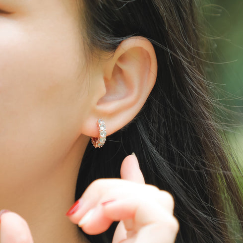 Ring Earrings Zircon Hip Hop Earrings