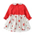 Baby Girl Autumn Princess Dress Long Sleeve Embroidered Dress