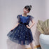 Girl's Star Stamped Dress Princess Dress Mesh Canopy Dress Children's Dress