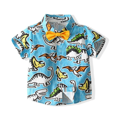 Boys Summer Cartoon Dinosaur Beach Wind Set