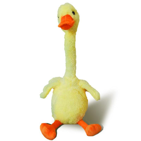 The tongue duck who can shine and sing is lovely to repeat the duck