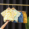 Boys Summer Shirt Set