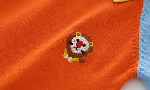 Autumn boy's sweater