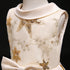 Girls' Dress Star Embroidered Sequin Princess Dress Dress Children's Dress