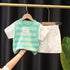 Boys Summer Short Sleeve Shorts Two-Piece Set
