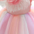 Girl's Dress Girl's Swan Rainbow Mesh Princess Dress