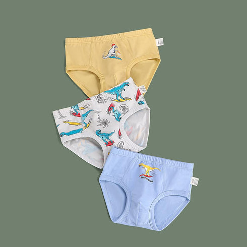 Boy's Underpants Three Packs
