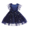 Girl's Star Stamped Dress Princess Dress Mesh Canopy Dress Children's Dress