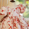 New Summer Girl's Birthday Dress Dress Girl's Jacquard Princess Dress