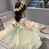 New Summer Girl Dress Party Birthday Dress Flower Princess Dress