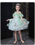 Girl's Princess Dress Green Pengpeng Fairy Dress Catwalk Dress Flower Girl Dress