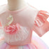 Girl's Dress Girl's Swan Rainbow Mesh Princess Dress